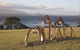 Sculpture Bermagui - thumb 0