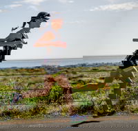 SunSmart Busselton Festival of Triathlon - Accommodation Cooktown