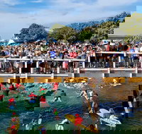 The Crescent Head Santa Surf - Accommodation Cooktown