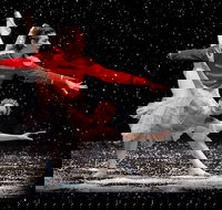 The Nutcracker and Don Quixote - Accommodation Cooktown