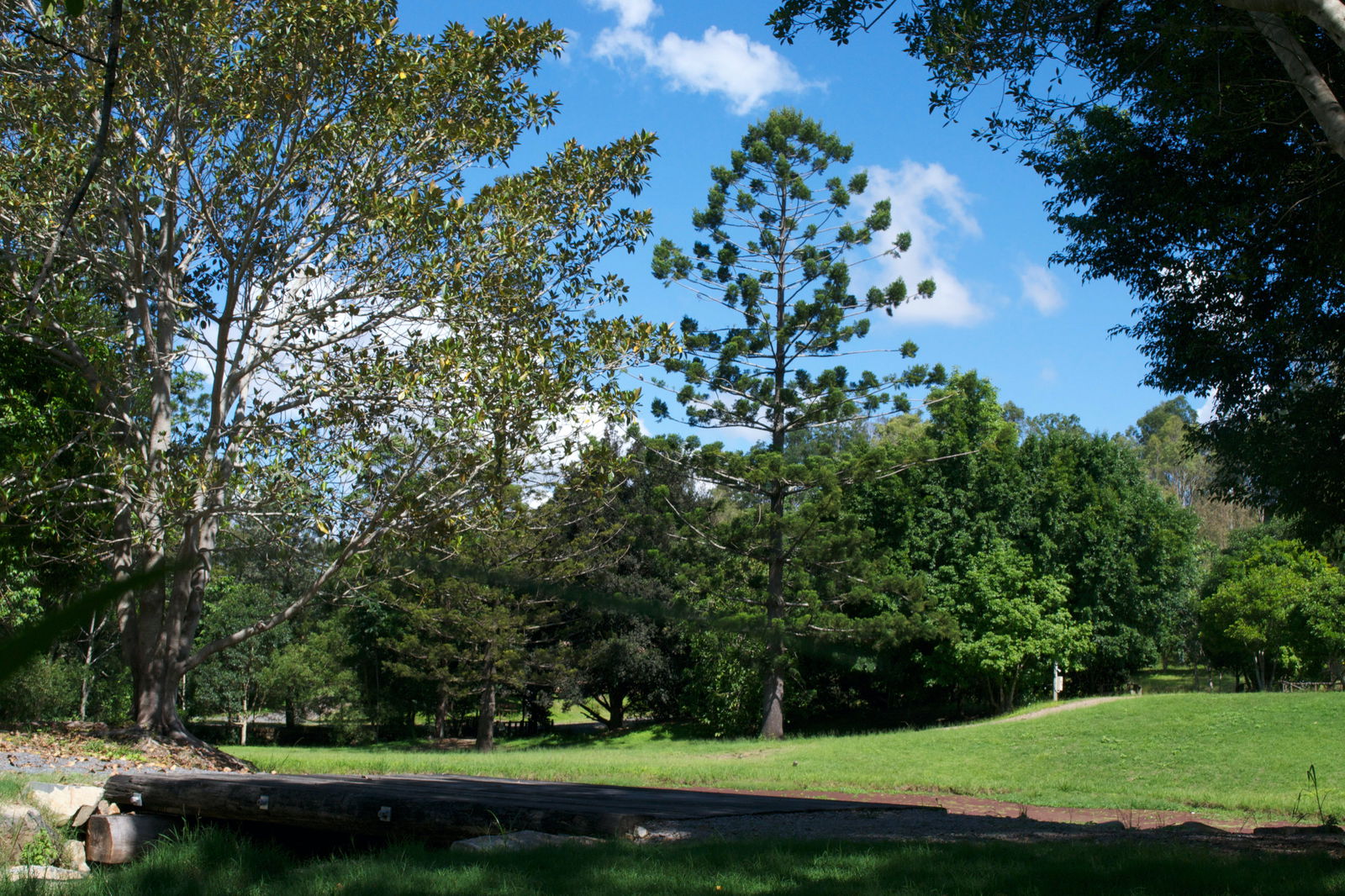 Bellthorpe QLD Accommodation Cooktown