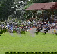 Tumut Boxing Day Races - Accommodation Cooktown