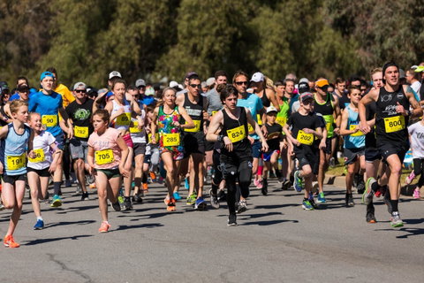 Wagga Lake Run Ride - Accommodation Cooktown 1