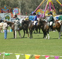 Wangaratta Show - Accommodation Cooktown