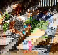 Willie Smith's Artisan and Produce Market - Accommodation Cooktown