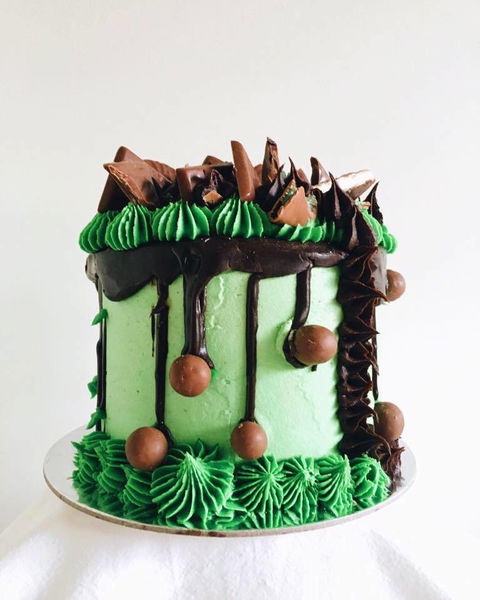 Four Seasons In The Armagh Vineyard - Accommodation Cooktown 1