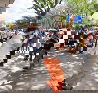 Australian National Busking Championships - Accommodation Cooktown