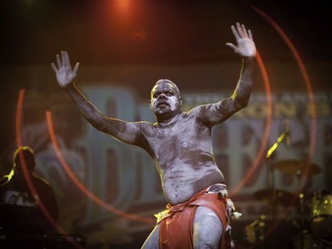 Bluesfest - Accommodation Cooktown 2