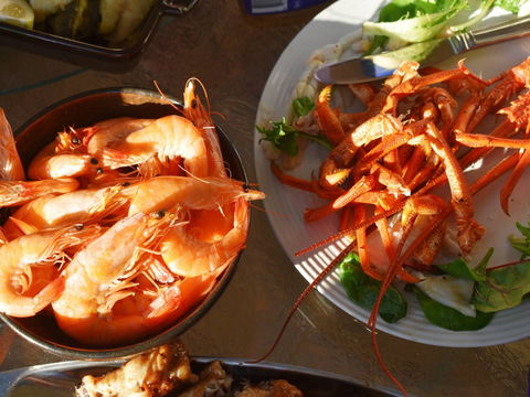 Cape Jaffa Food And Wine Festival - Accommodation Cooktown 0