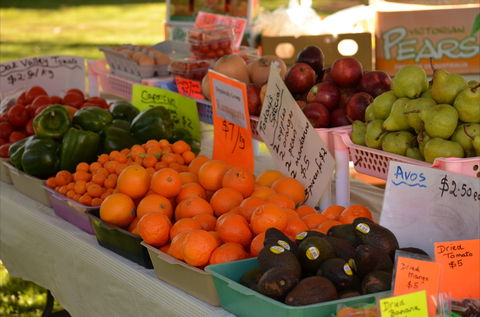 Centenary Park Charity Markets - Accommodation Cooktown 0