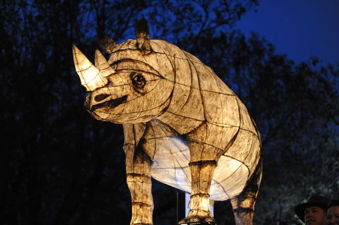 DREAM Festival: Music And Markets Event - Accommodation Cooktown 1