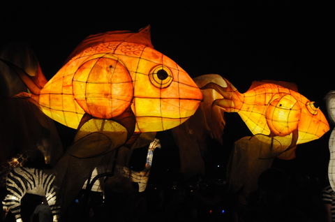 DREAM Festival: Music And Markets Event - Accommodation Cooktown 2