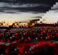 Field of Light Uluru - Accommodation Cooktown