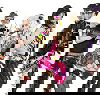 Forever 80's - Shoppingtown Hotel - Accommodation Cooktown