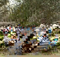 Grazing Down the Lachlan - Accommodation Cooktown