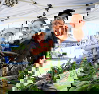 Greater Whitsunday Farmers Markets - Accommodation Cooktown