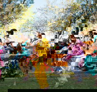 Griffith Spring Fest -  Multicultural Festival - Accommodation Cooktown