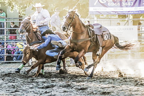 Gundagai Rodeo - Accommodation Cooktown 0