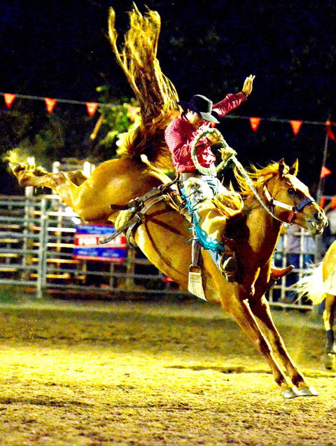 Gundagai Rodeo - Accommodation Cooktown 1