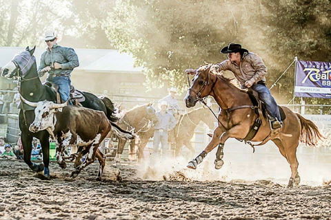 Gundagai Rodeo - Accommodation Cooktown 2