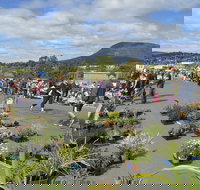 Hobart Showground Sunday Market - Weekly - Accommodation Cooktown
