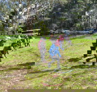 July 2020 Holidays- Forest Adventures Treasure Hunt - Accommodation Cooktown