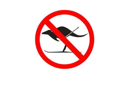 Kangaroo Hoppet - Accommodation Cooktown 0