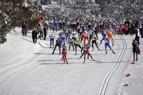 Kangaroo Hoppet - Accommodation Cooktown 1