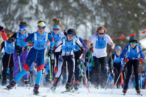 Kangaroo Hoppet - Accommodation Cooktown 2