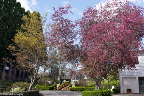 Leura Gardens Festival - Cancelled - Accommodation Cooktown 0