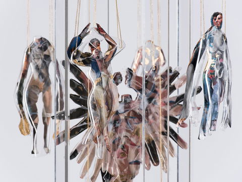 Pulse Perspectives - Virtual Exhibition - Accommodation Cooktown 0