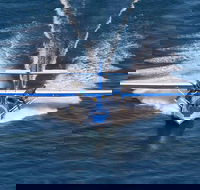 Rathmines Catalina Festival - Accommodation Cooktown