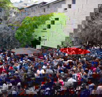 Rektango - Accommodation Cooktown