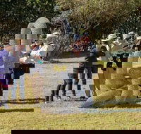 Sculpture for Clyde - Outdoor Exhibition - Accommodation Cooktown