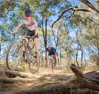 Shimano Mountain Bike Grand Prix  Logan - Accommodation Cooktown