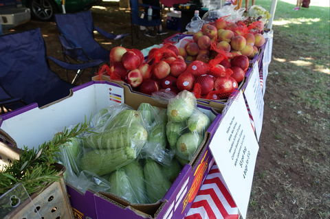 Swan Hill Farmers Market - Accommodation Cooktown 2