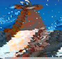 The Gruffalos Child - Accommodation Cooktown