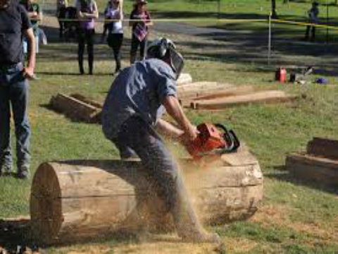 Tocal Field Days - Accommodation Cooktown 0
