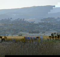 Tumut Cycle Classic - Accommodation Cooktown