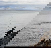 Whale Watching in Portland - Accommodation Cooktown