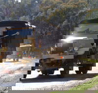 ARTHC Annual Dinner and Road Run with Show and Shine Auction and Music. - Accommodation Cooktown