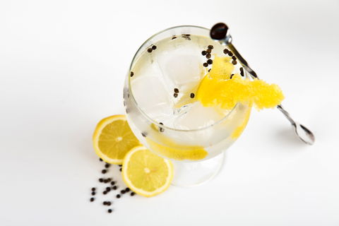 Online Live Streaming Class: Make Four Gin Cocktails - Accommodation Cooktown 0