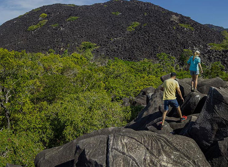 Embark on Scenic Walks and Hiking Trails