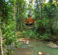 The Canopy Rainforest Treehouses and Wildlife Sanctuary - Accommodation Cooktown