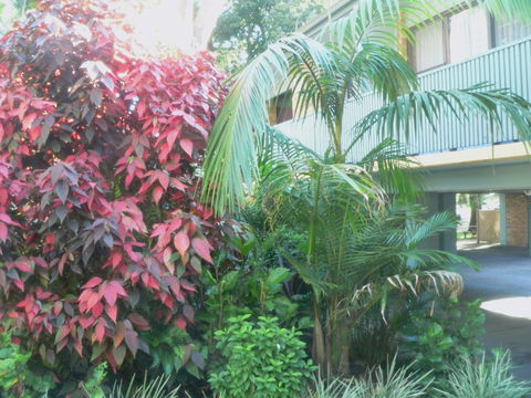 Port Stephens Motel - Accommodation Cooktown 0