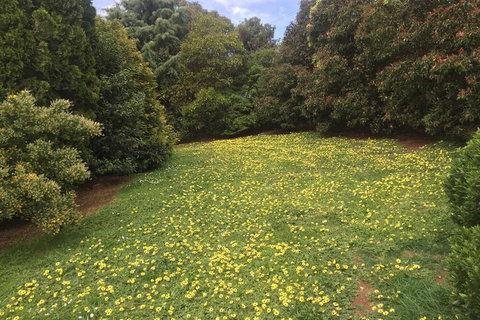 Warragul Views Motor Inn - Accommodation Cooktown 2