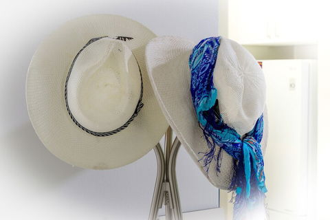 Tranquility Chill At Palm Cove - Accommodation Cooktown 3