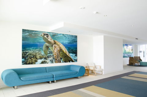 Kirra Surf Apartments - Accommodation Cooktown 6