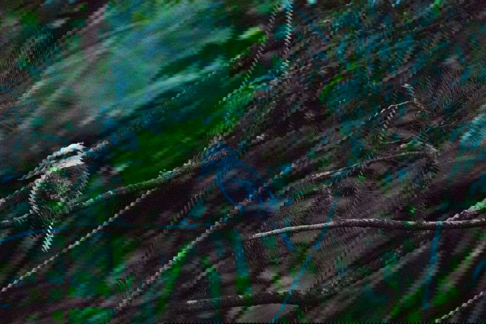  Accommodation Cooktown