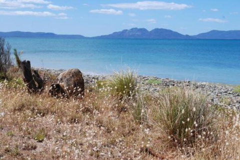 Schouten House - Accommodation Cooktown 1